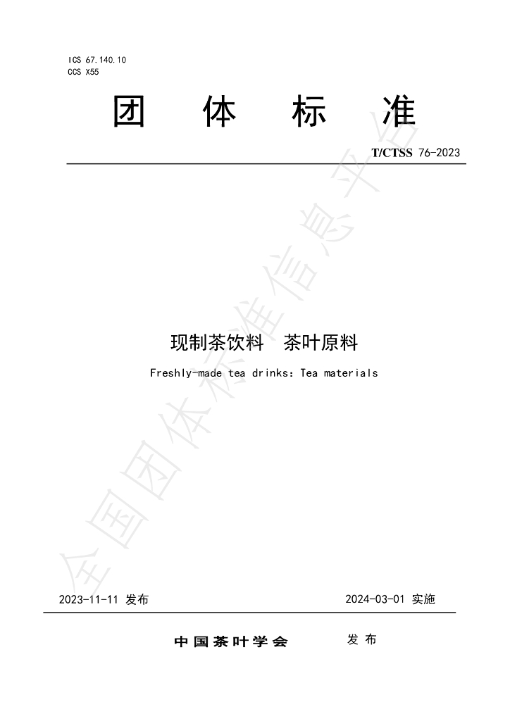 T/CTSS 76-2023 标准预览