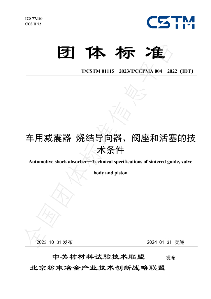 T/CSTM 01115-2023 标准预览