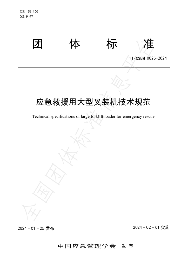 T/CSEM 0025-2024 标准预览