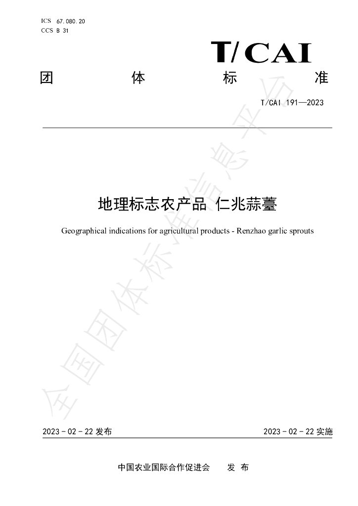 T/CAI 191-2023 标准预览