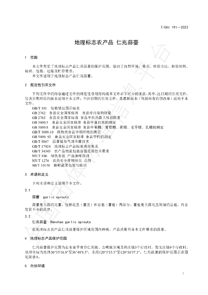 T/CAI 191-2023 标准预览