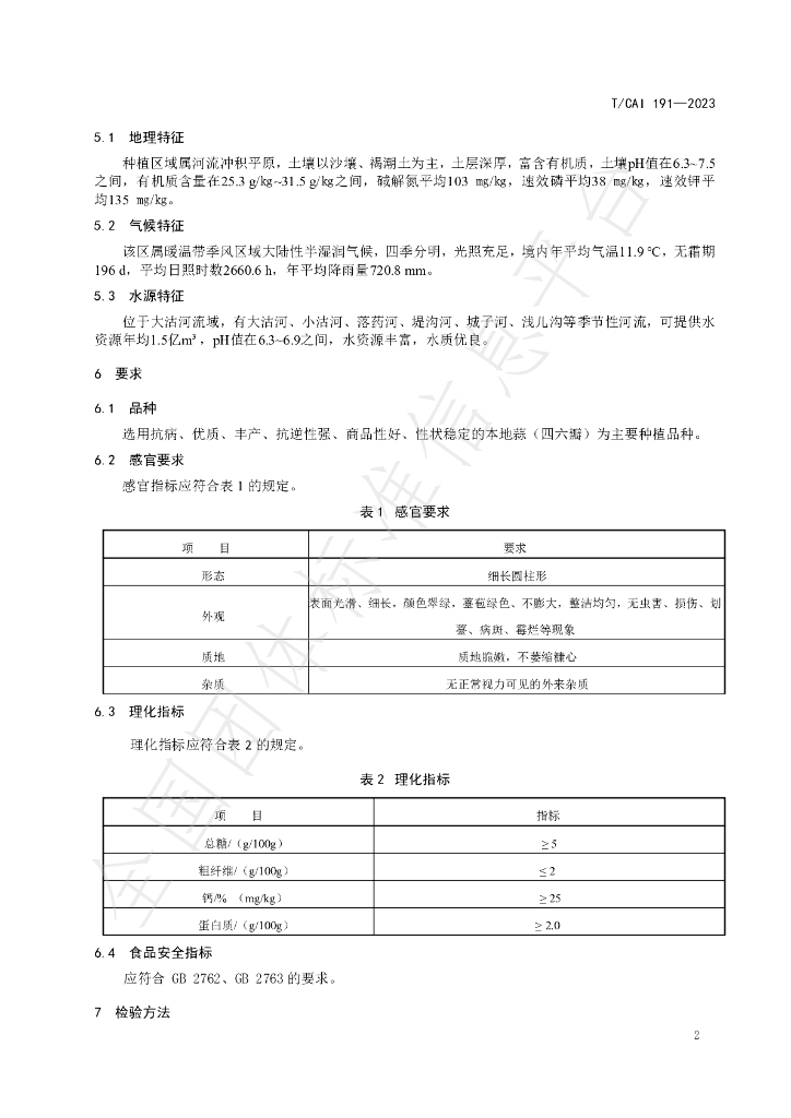 T/CAI 191-2023 标准预览