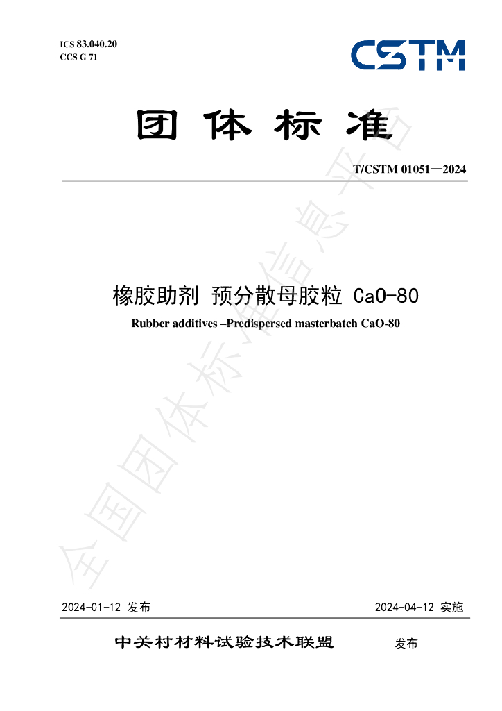 T/CSTM 01051-2024 标准预览