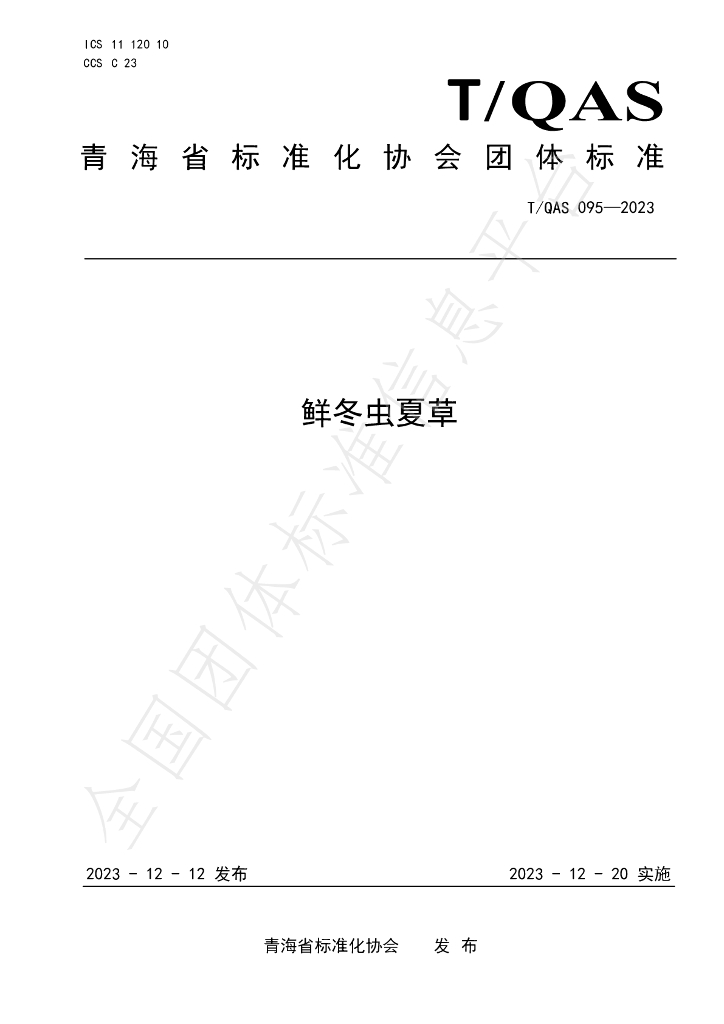 T/QAS 095-2023 标准预览