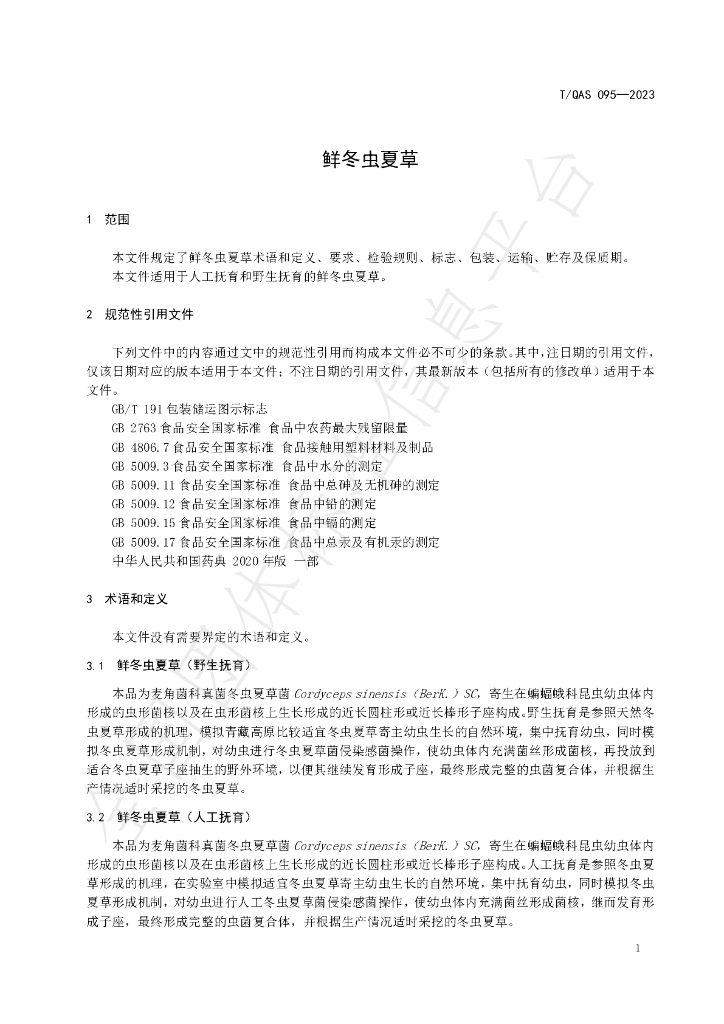 T/QAS 095-2023 标准预览