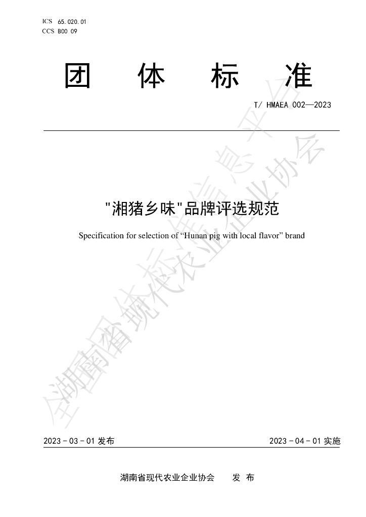 T/HMAEA 002-2023 标准预览