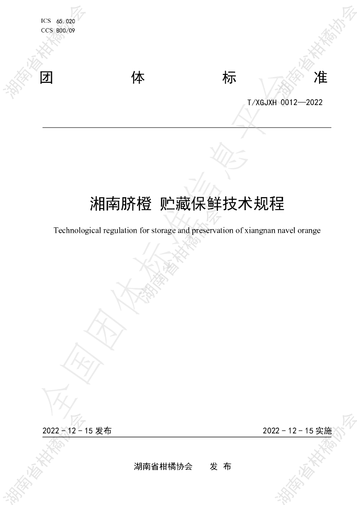 T/HNSGJXH 0012-2022 标准预览
