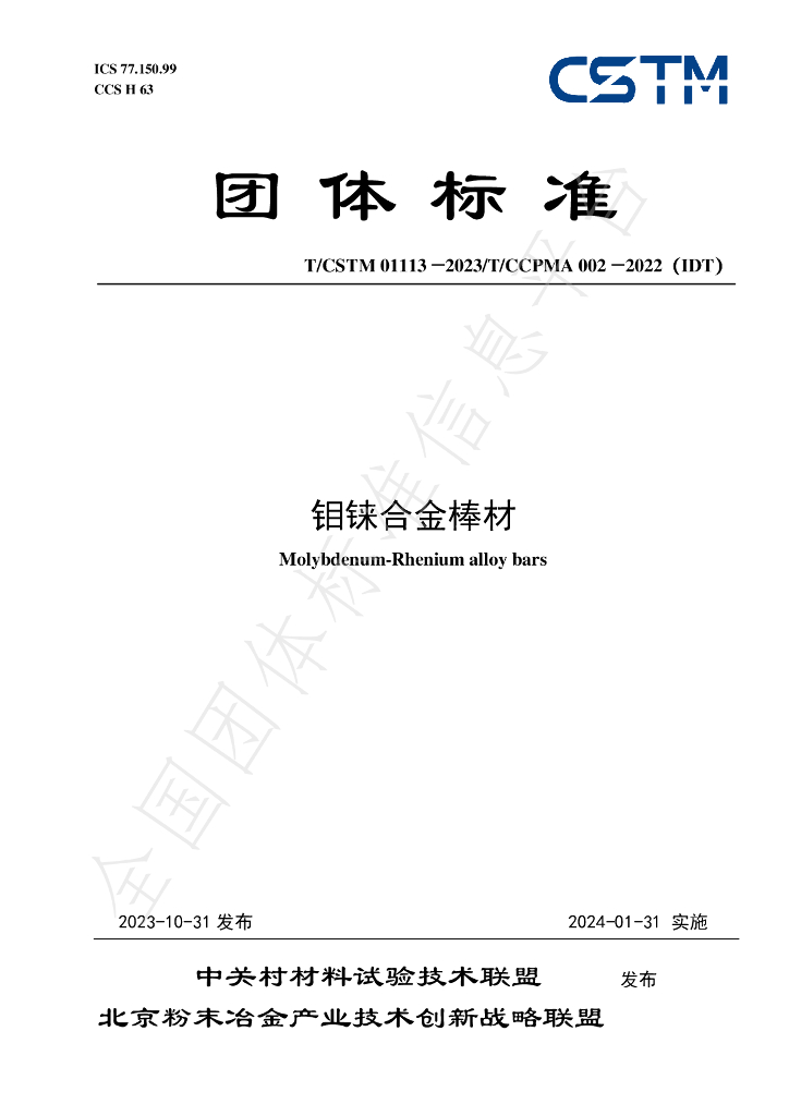 T/CSTM 01113-2023 标准预览
