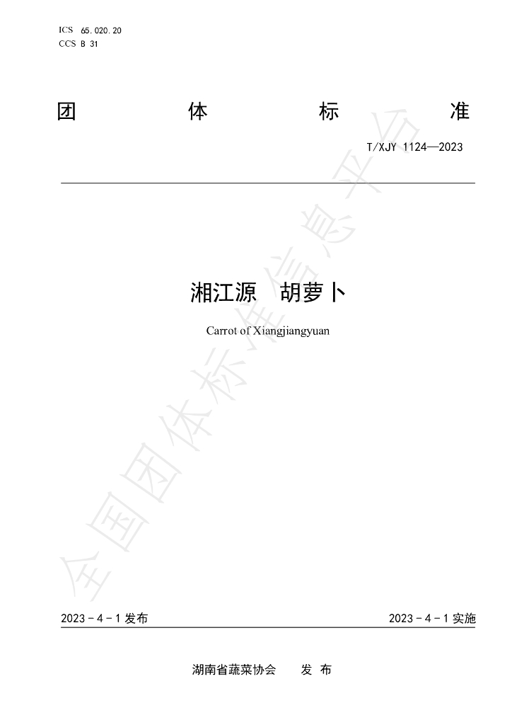 T/XJY 1124-2023 标准预览