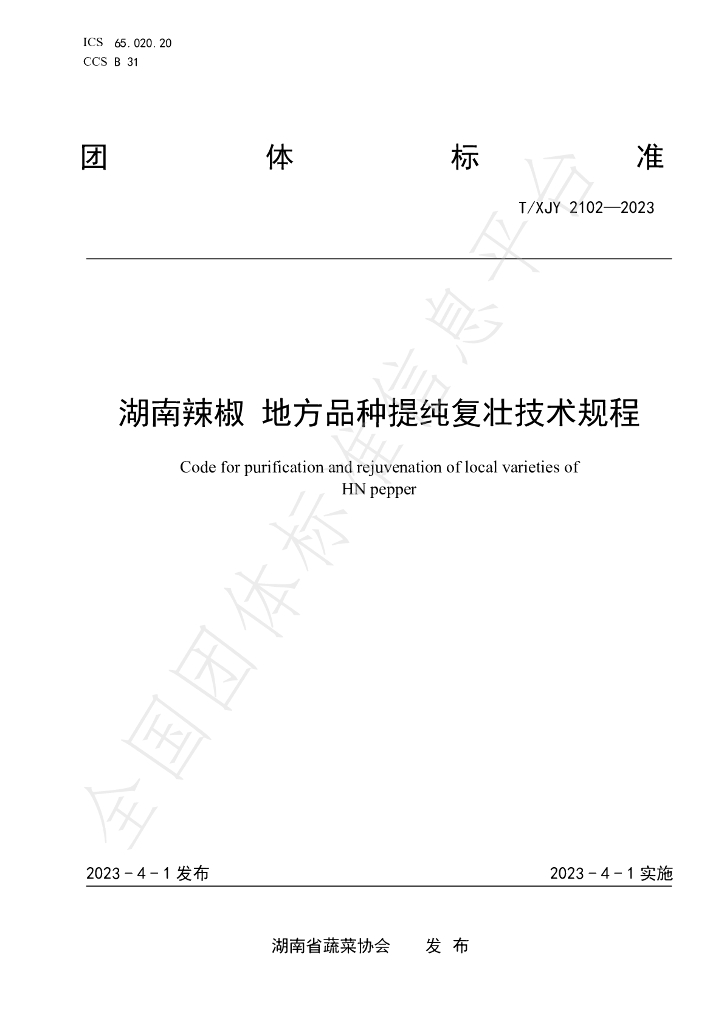 T/XJY 2102-2023 标准预览
