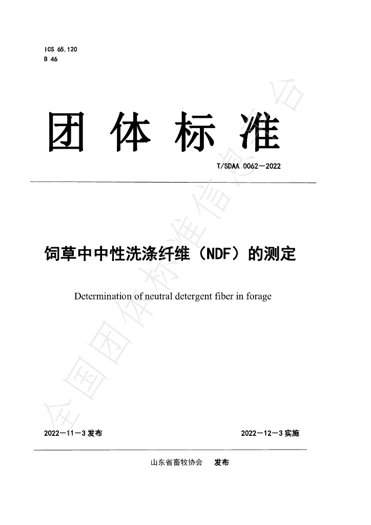 T/SDAA 0062-2022 标准预览