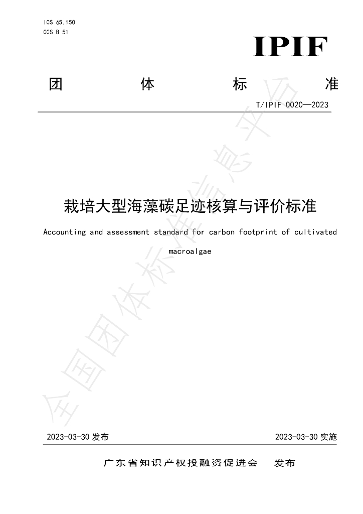 T/IPIF 0020-2023 标准预览