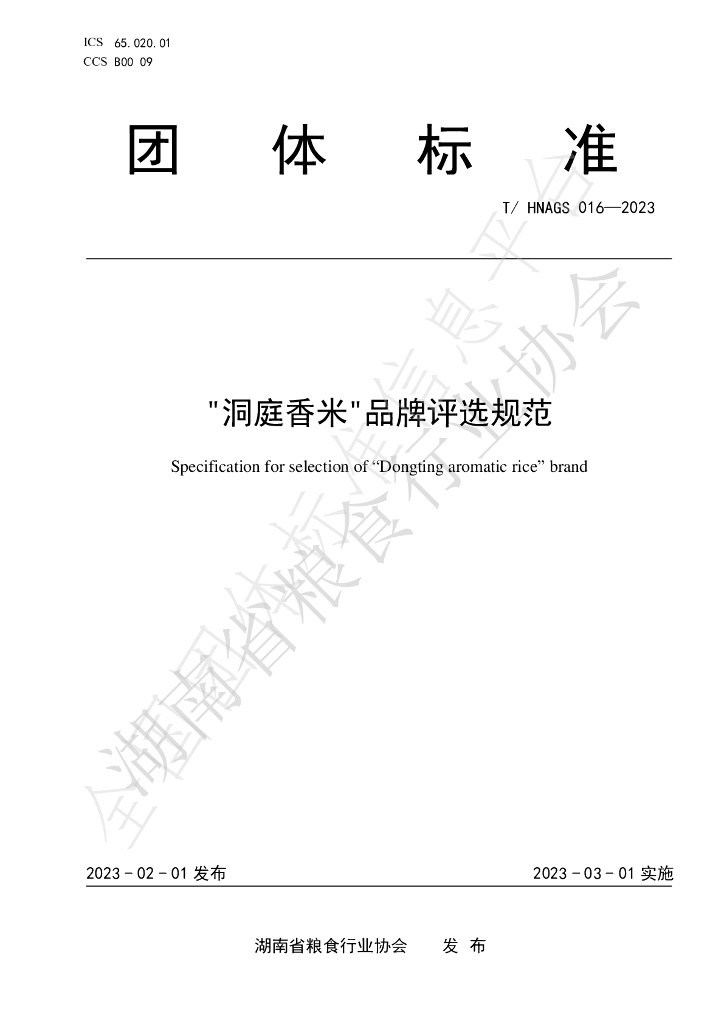 T/HNAGS 016-2023 标准预览