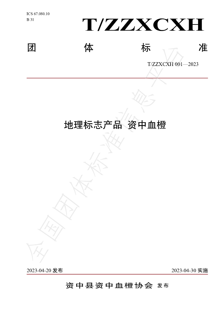 T/ZZXCXH 001-2023 标准预览