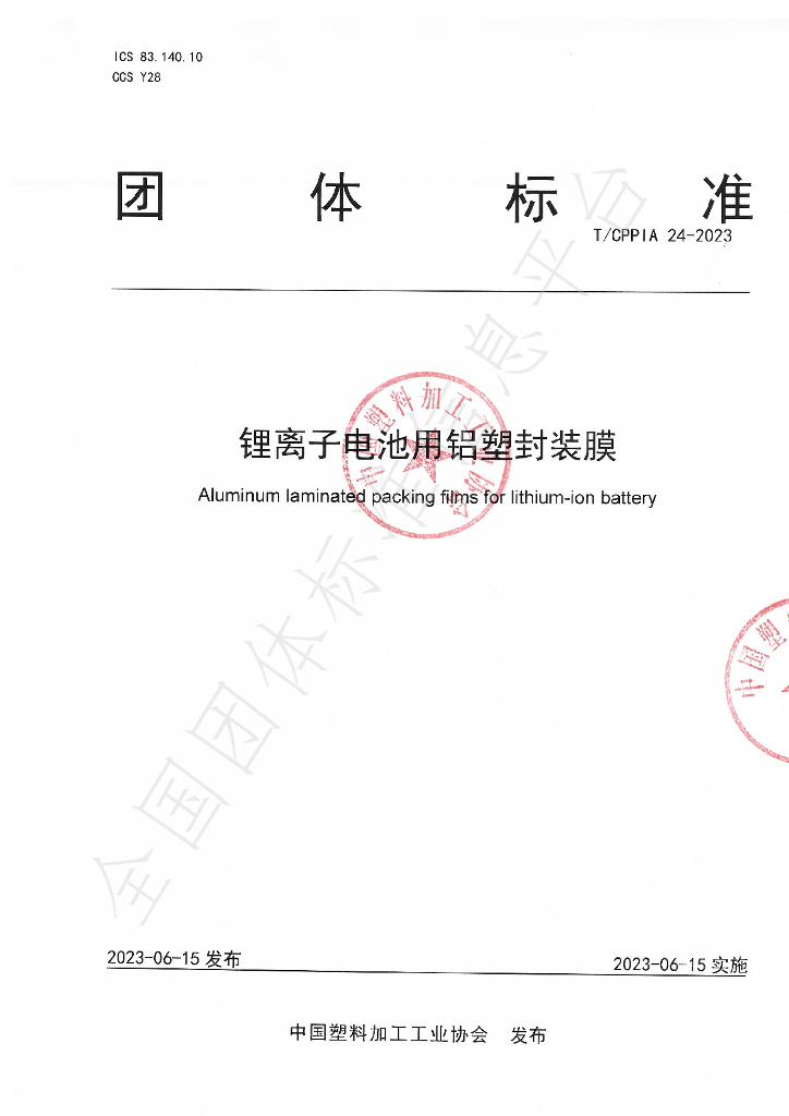 T/CPPIA 24-2023 标准预览