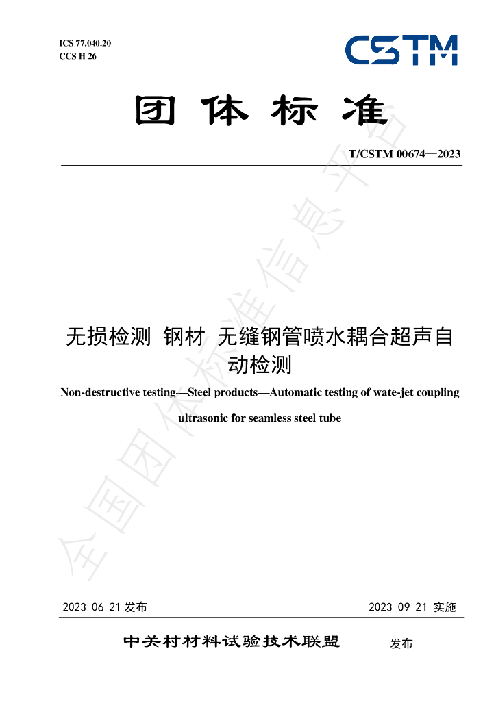 T/CSTM 00674-2023 标准预览