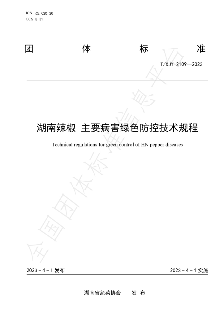 T/XJY 2109-2023 标准预览