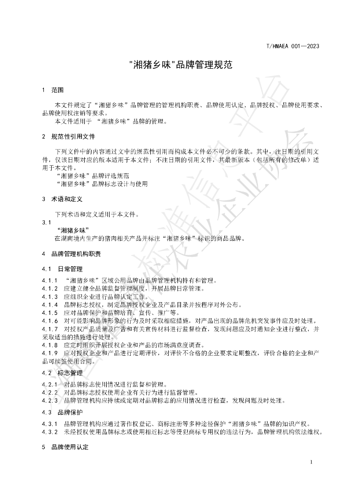 T/HMAEA 001-2023 标准预览