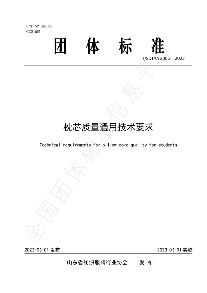 T/SDTAA 2005-2023 标准预览