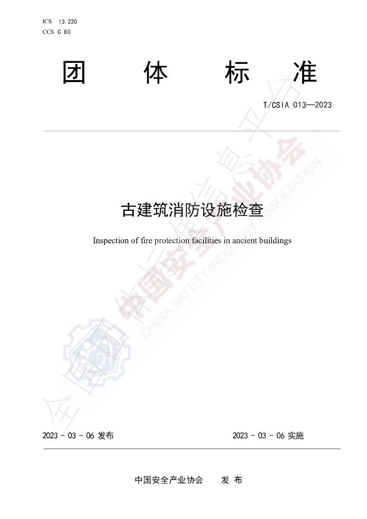 T/CSIA 013-2023 标准预览