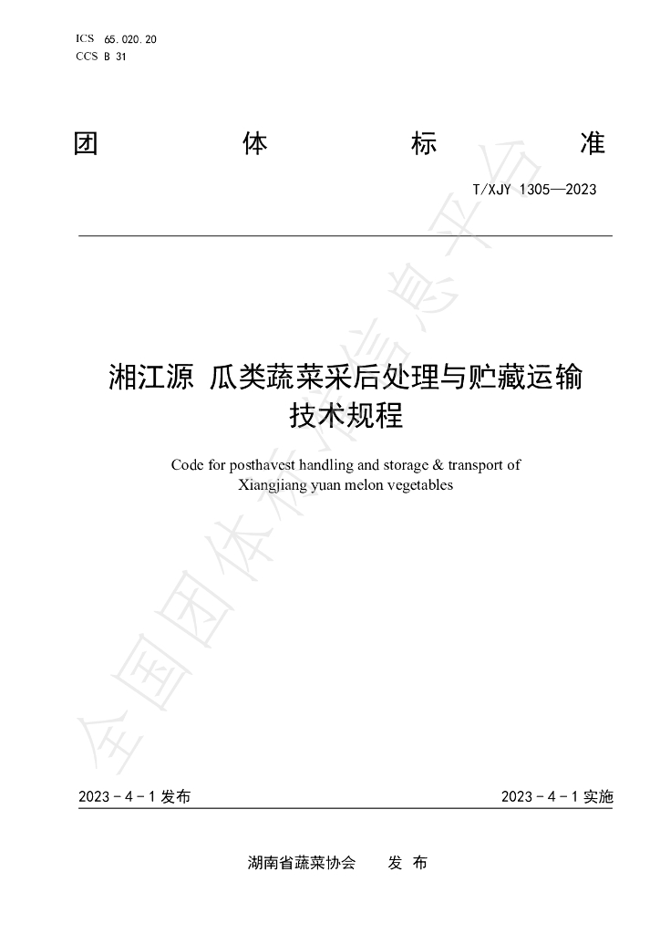 T/XJY 1305-2023 标准预览