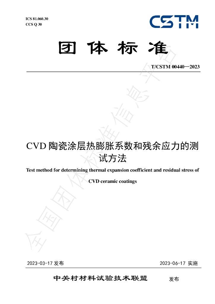T/CSTM 00440-2023 标准预览