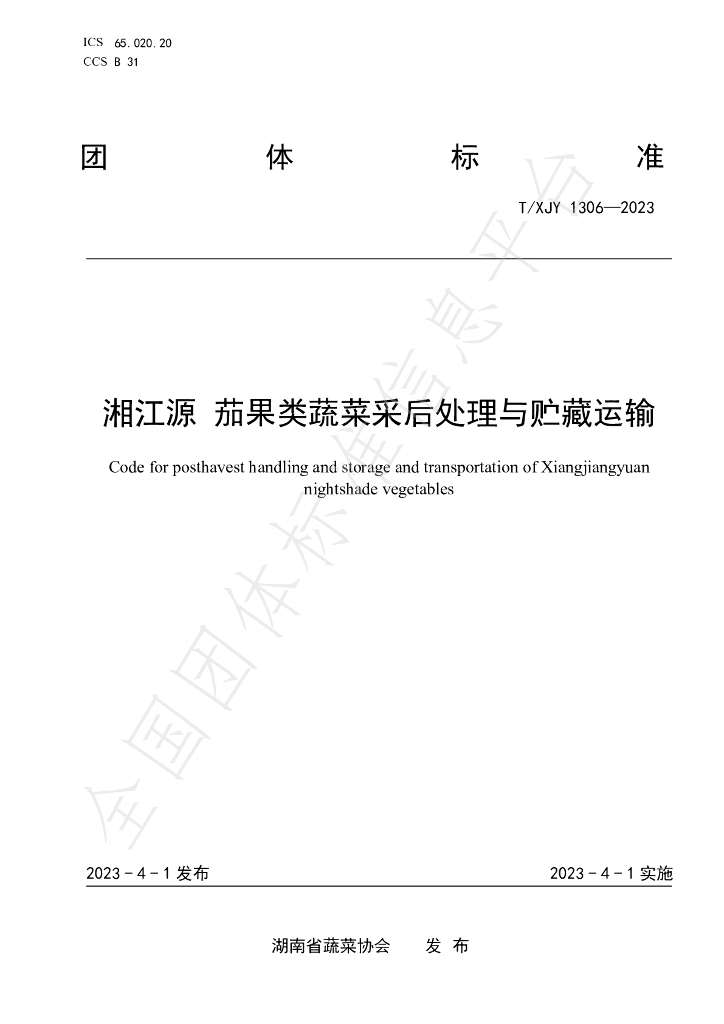 T/XJY 1306-2023 标准预览