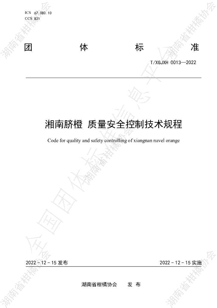 T/HNSGJXH 0013-2022 标准预览