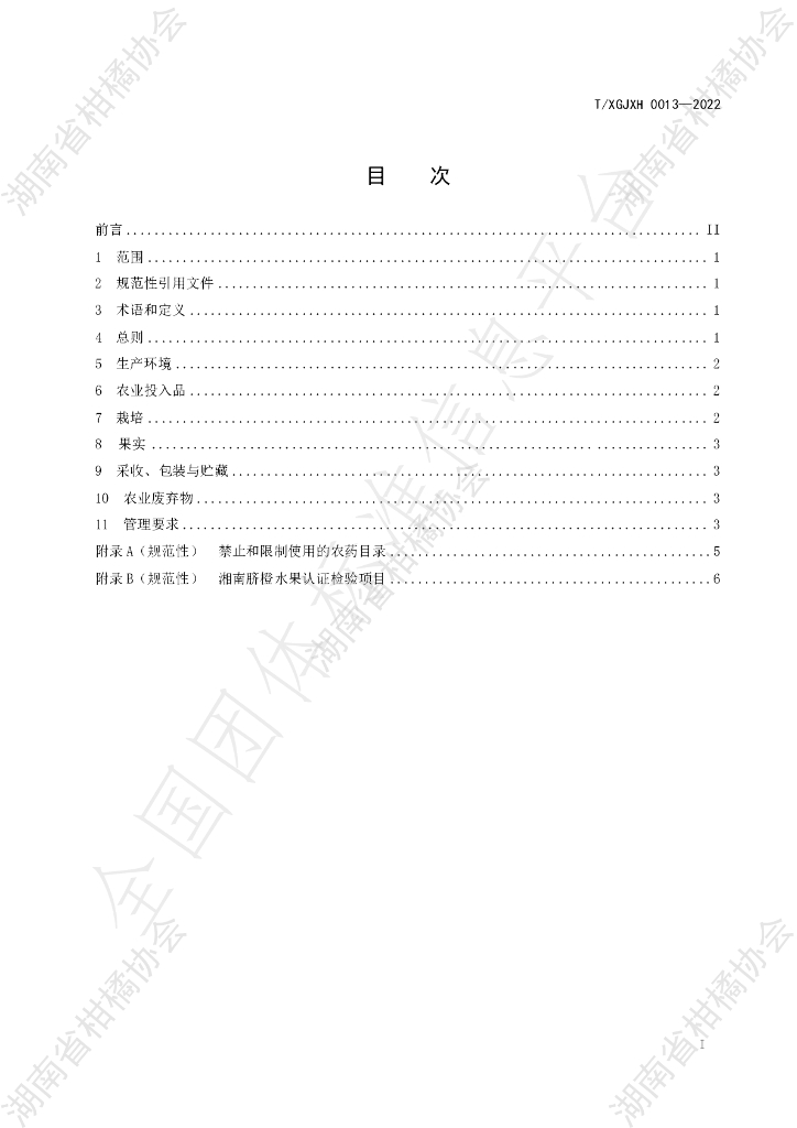 T/HNSGJXH 0013-2022 标准预览