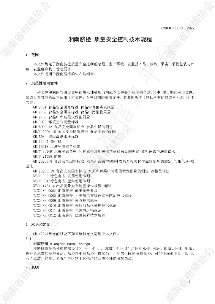 T/HNSGJXH 0013-2022 标准预览