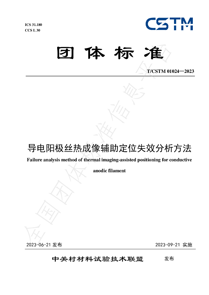 T/CSTM 01024-2023 标准预览