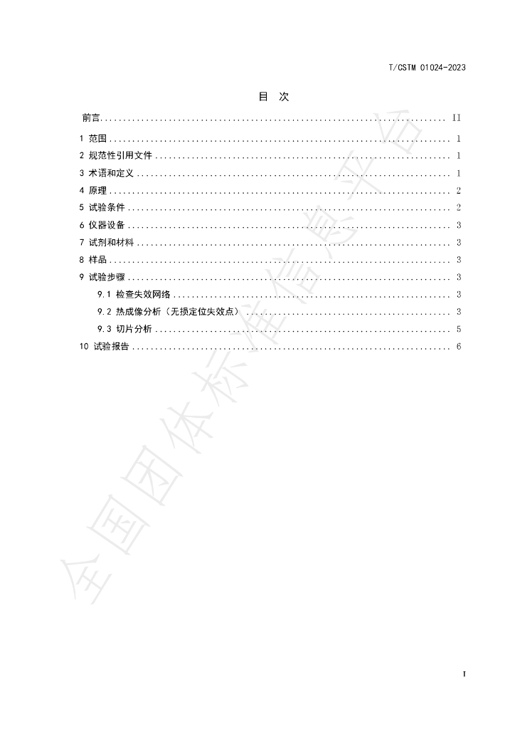 T/CSTM 01024-2023 标准预览