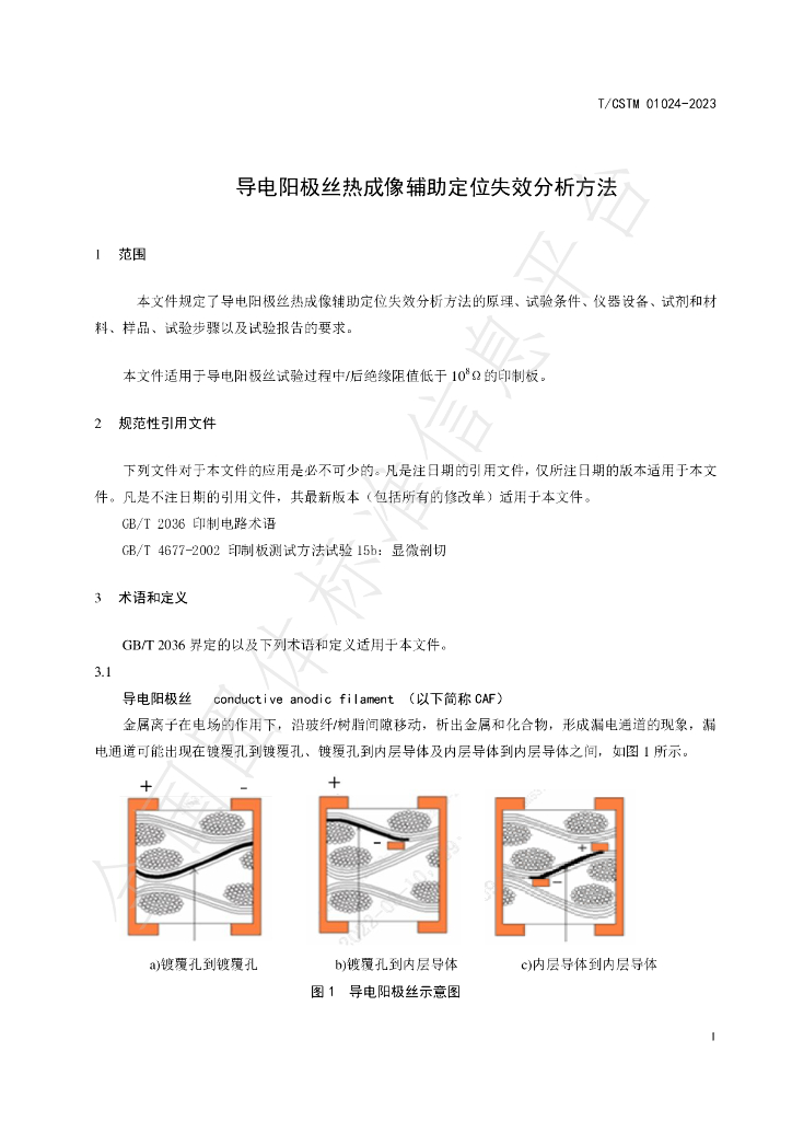 T/CSTM 01024-2023 标准预览