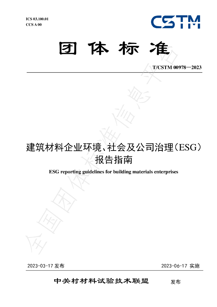 T/CSTM 00978-2023 标准预览