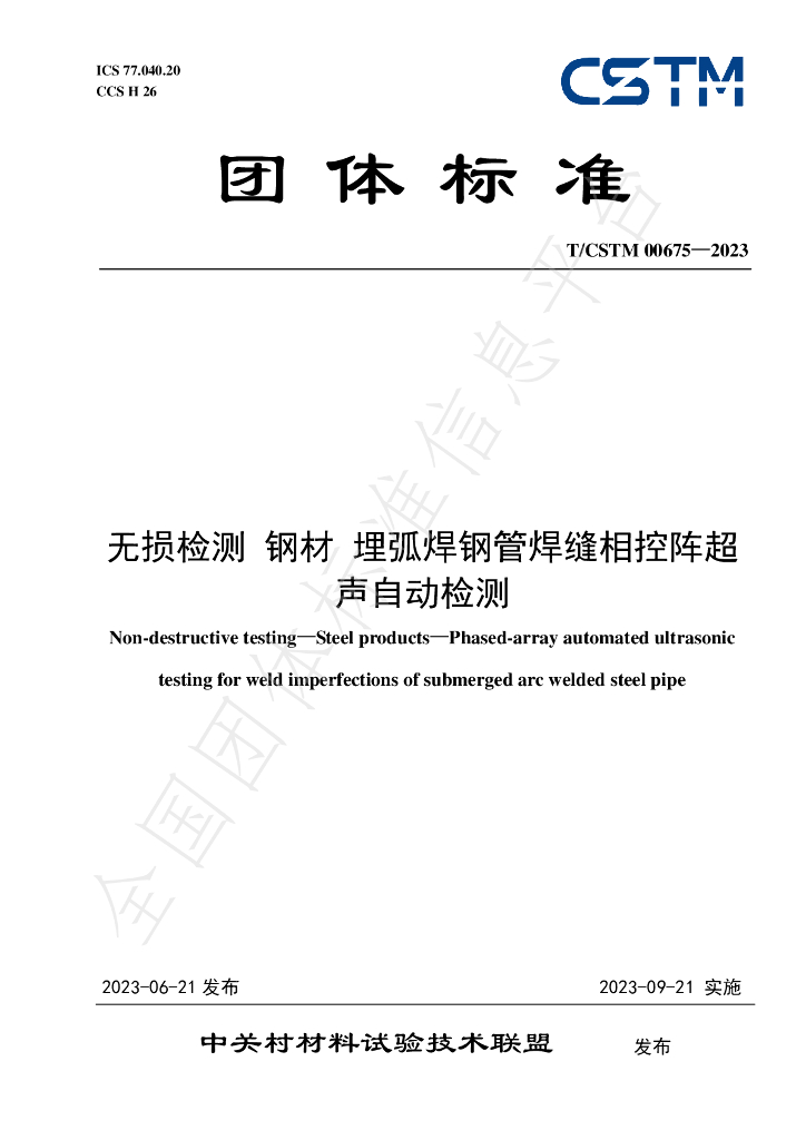 T/CSTM 00675-2023 标准预览