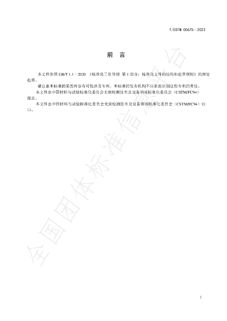 T/CSTM 00675-2023 标准预览