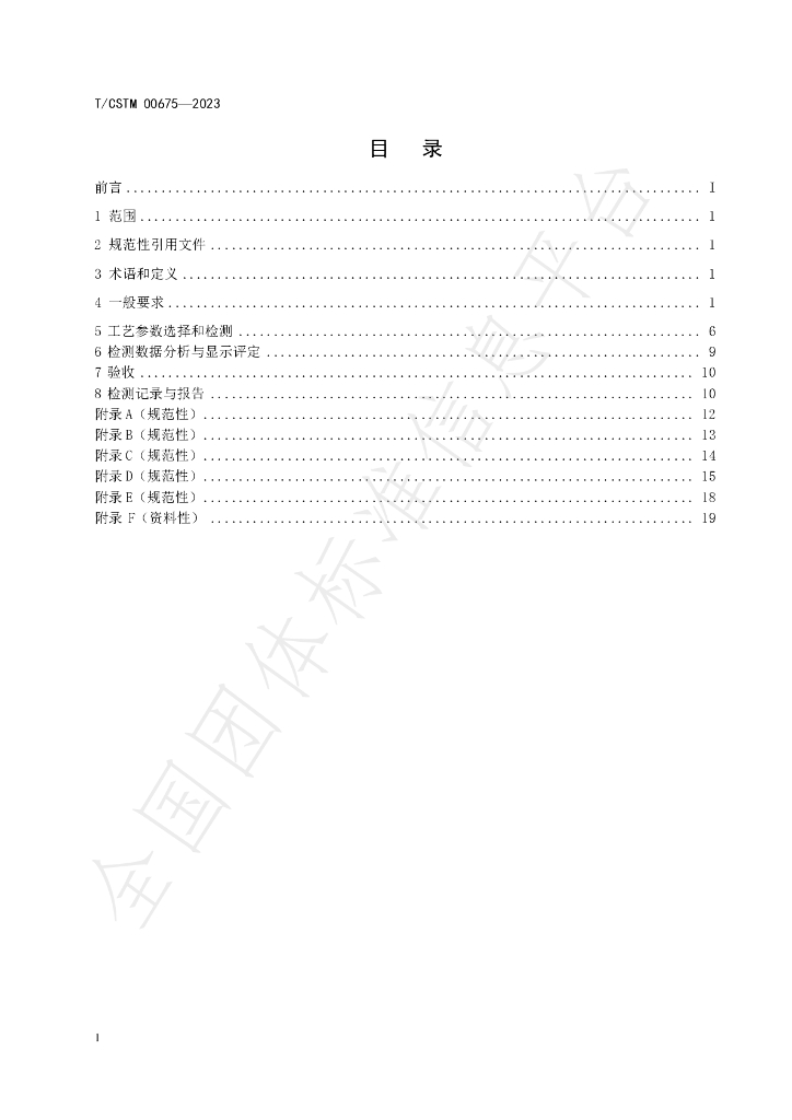 T/CSTM 00675-2023 标准预览