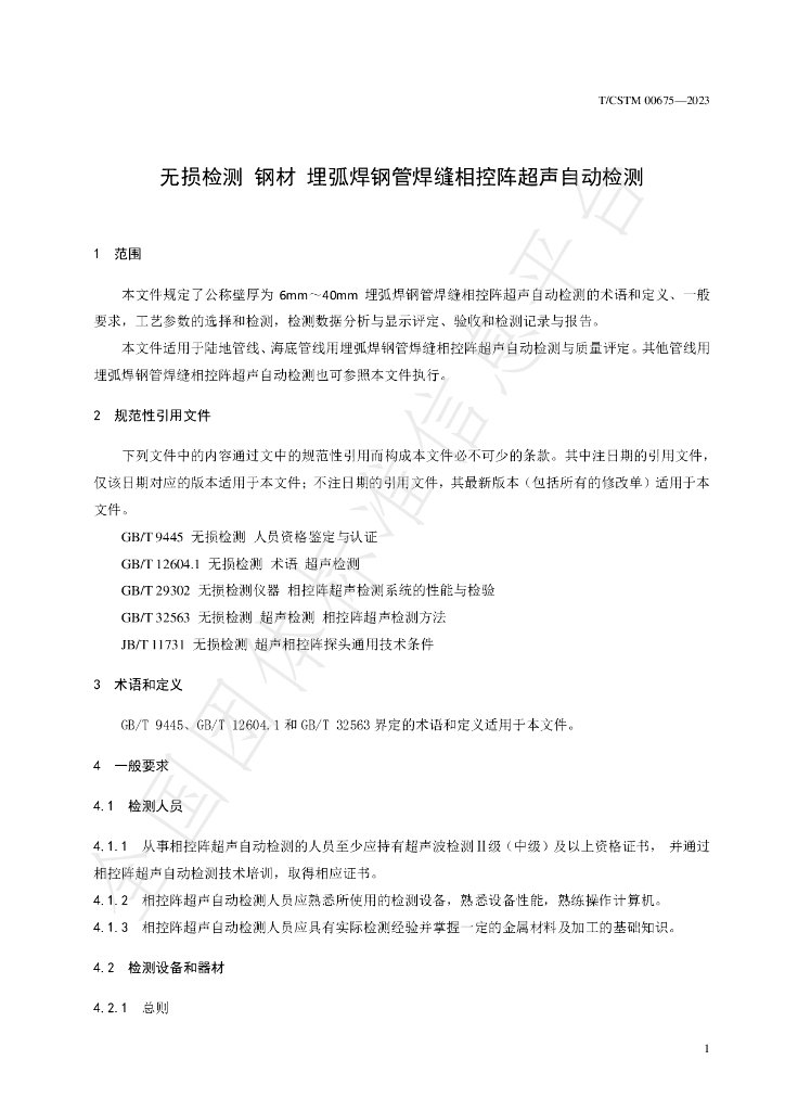 T/CSTM 00675-2023 标准预览