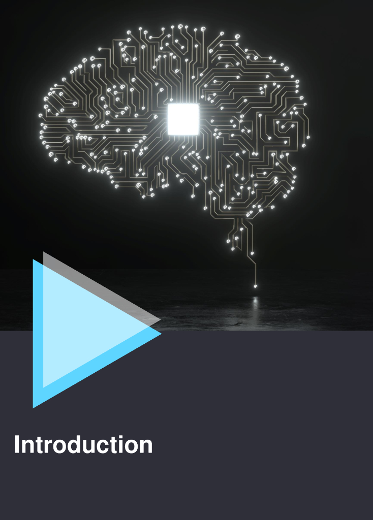 asean：东盟人工智能治理与伦理指南报告（英文版）_第6页