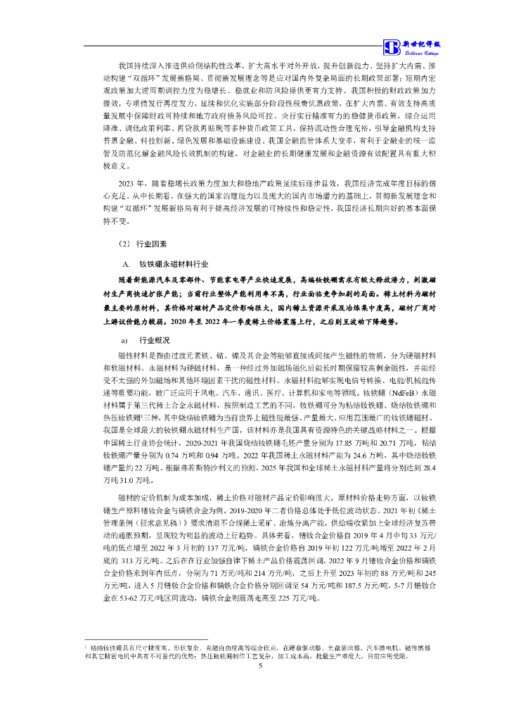 新世纪：中科实业集团(控股)有限公司信用评级报告_第6页
