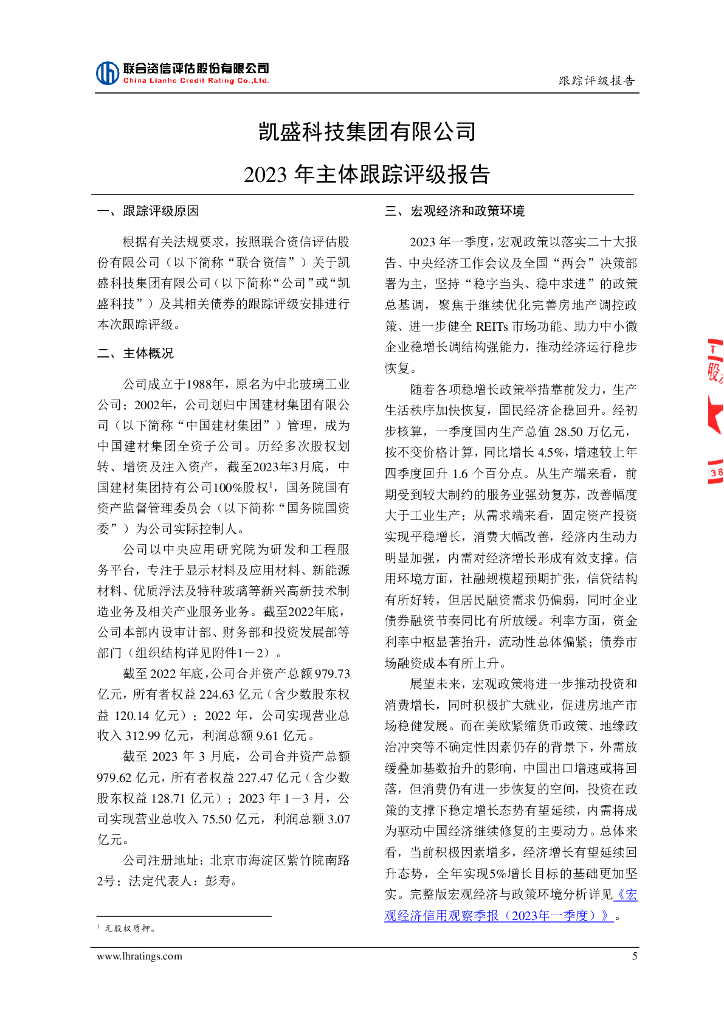 联合资信：凯盛科技集团有限公司2023年主体跟踪评级报告_第6页
