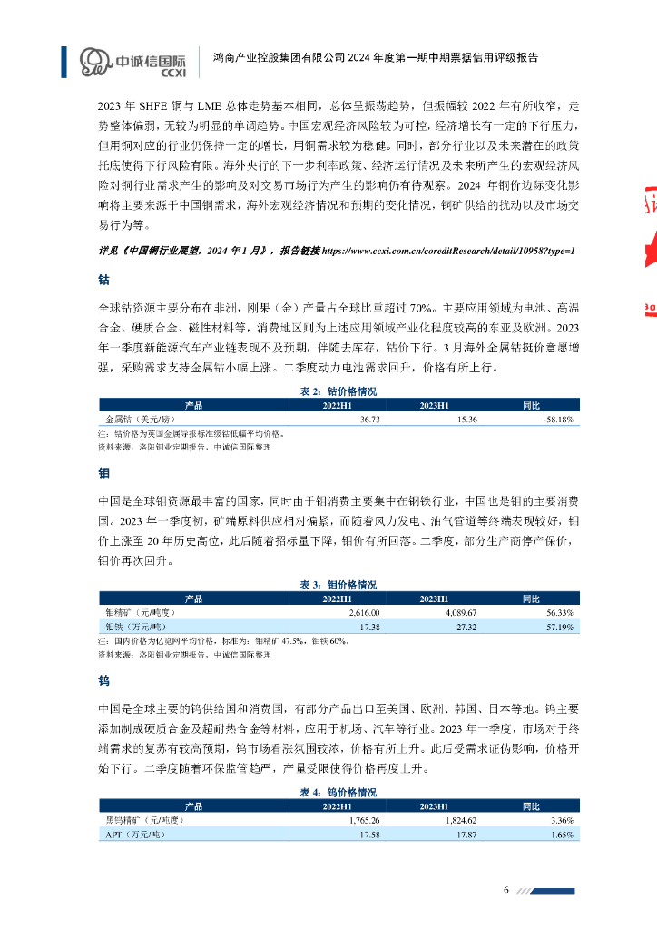 中诚信：鸿商产业控股集团有限公司2024年度第一期中期票据信用评级报告_第6页