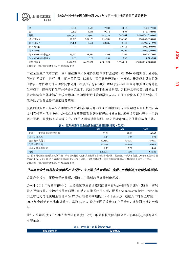 中诚信：鸿商产业控股集团有限公司2024年度第一期中期票据信用评级报告_第8页