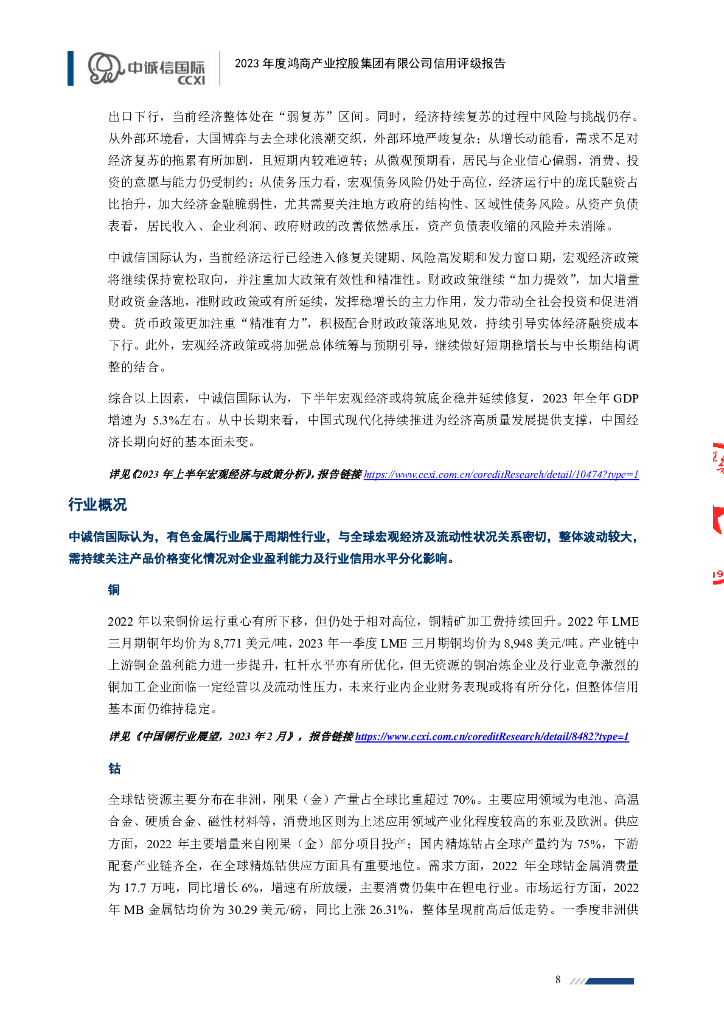 中诚信：2023年度鸿商产业控股集团有限公司信用评级报告_第8页