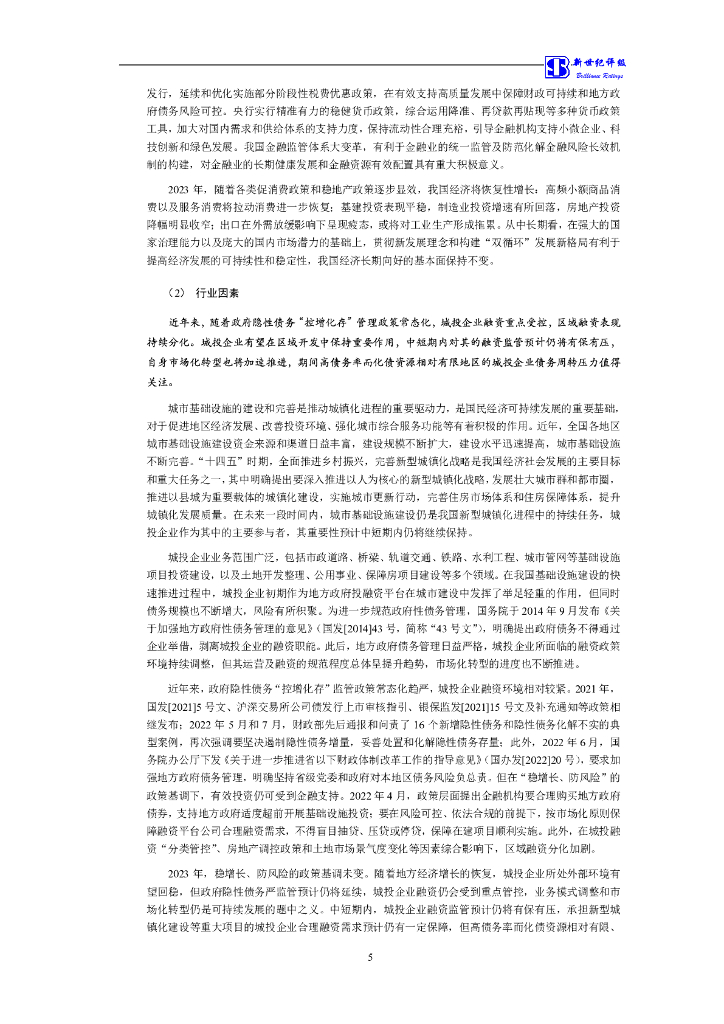新世纪：合肥高新建设投资集团有限公司信用评级报告_第6页