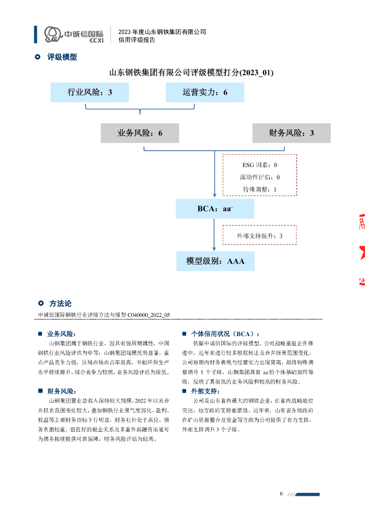 中诚信：2023年度山东钢铁集团有限公司信用评级报告_第6页