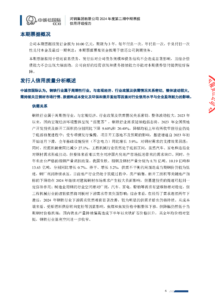 中诚信：河钢集团有限公司2024年度第二期中期票据信用评级报告_第6页