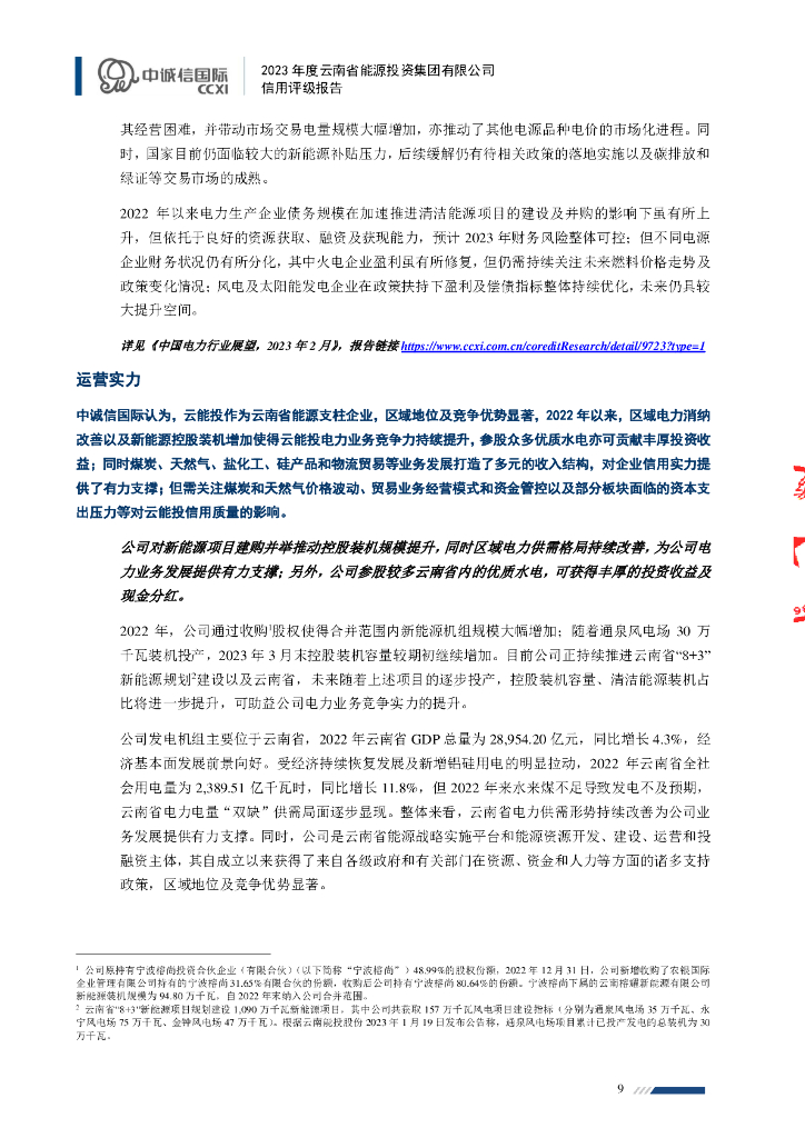 中诚信：2023年云南省能源投资集团有限公司信用评级报告_第9页