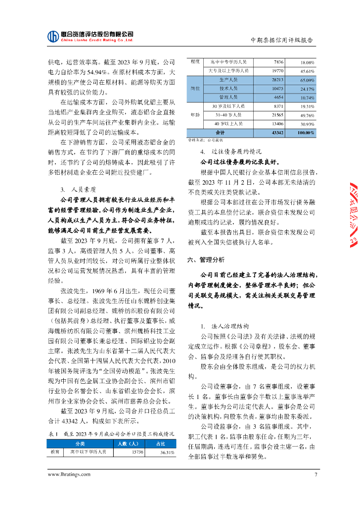 联合资信：山东宏桥新型材料有限公司2024年度第三期中期票据信用评级报告_第8页