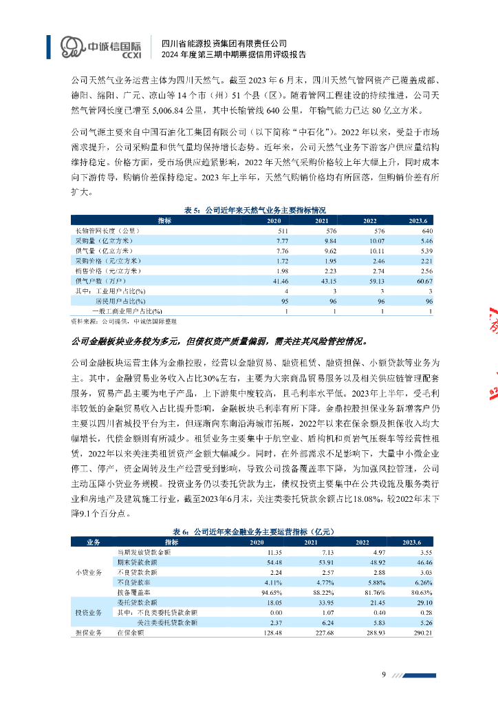 中诚信：四川省能源投资集团有限责任公司2024年度第三期中期票据信用评级报告_第9页